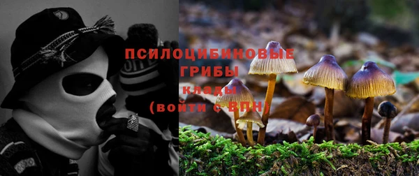 кокаин премиум Богданович